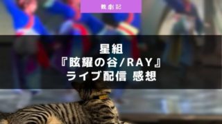 宝塚星組『眩耀の谷/Ray』ライブ配信の感想